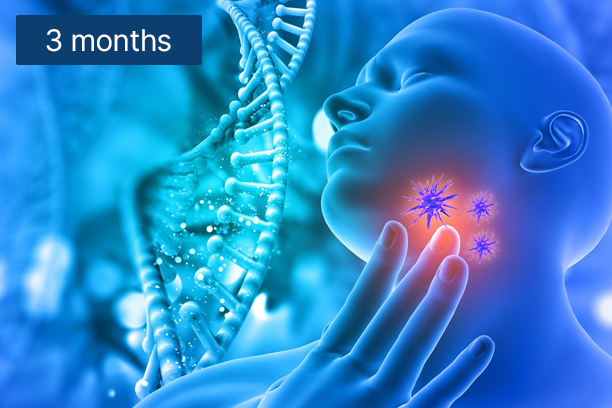 Hormonal Health & Thyroid Package